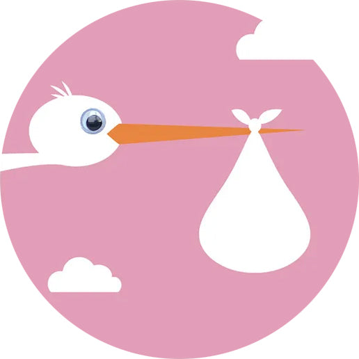Personalised Baby Shower Topper | Girl Stork