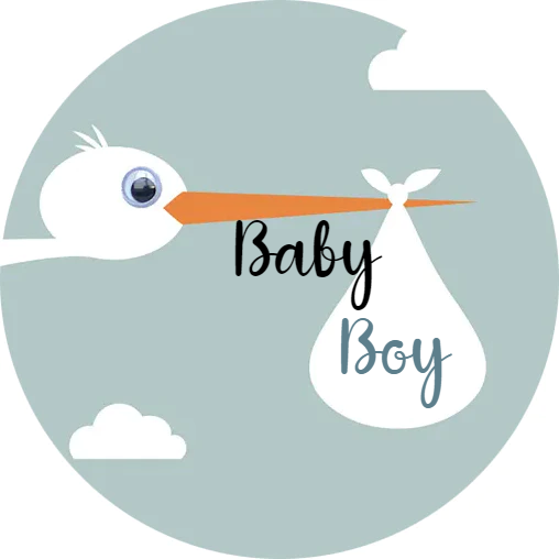 Personalised Baby Shower Topper | Boy Stork