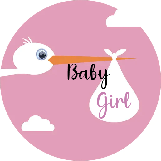 Personalised Baby Shower Topper | Girl Stork